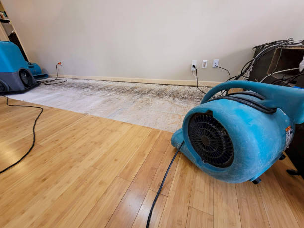Professional Sewage Cleanup technician working in Chinle, AZ